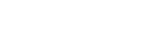 INDO119 logo